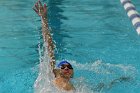 Swimming vs Bentley  Wheaton College Swimming & Diving vs Bentley College. - Photo by Keith Nordstrom : Wheaton, Swimming & Diving